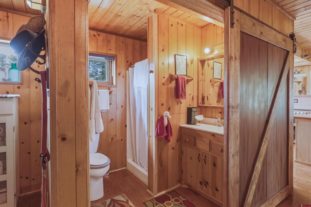 27 Croton Court Pagosa Springs CO 81147