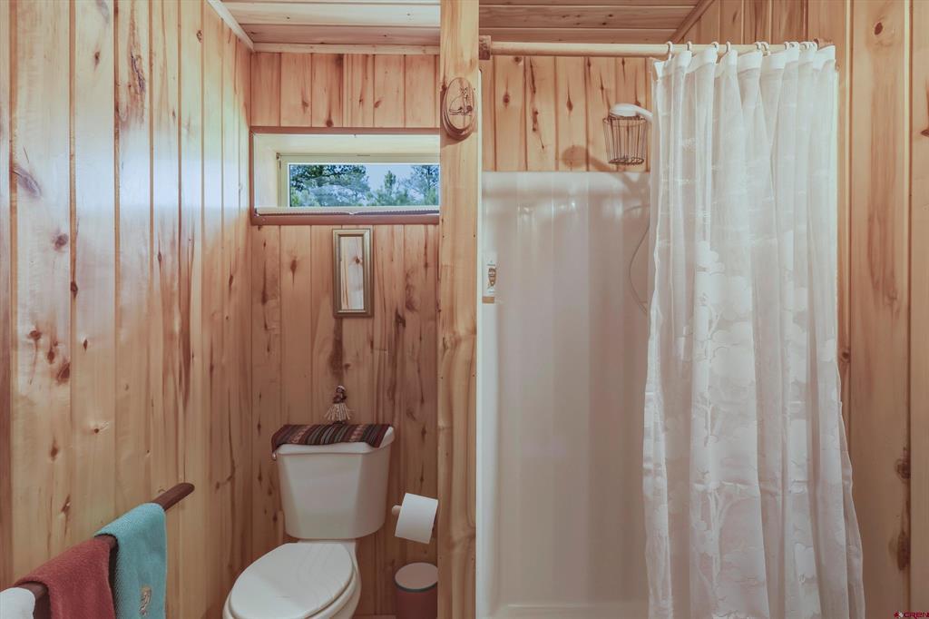 27 Croton Court Pagosa Springs CO 81147