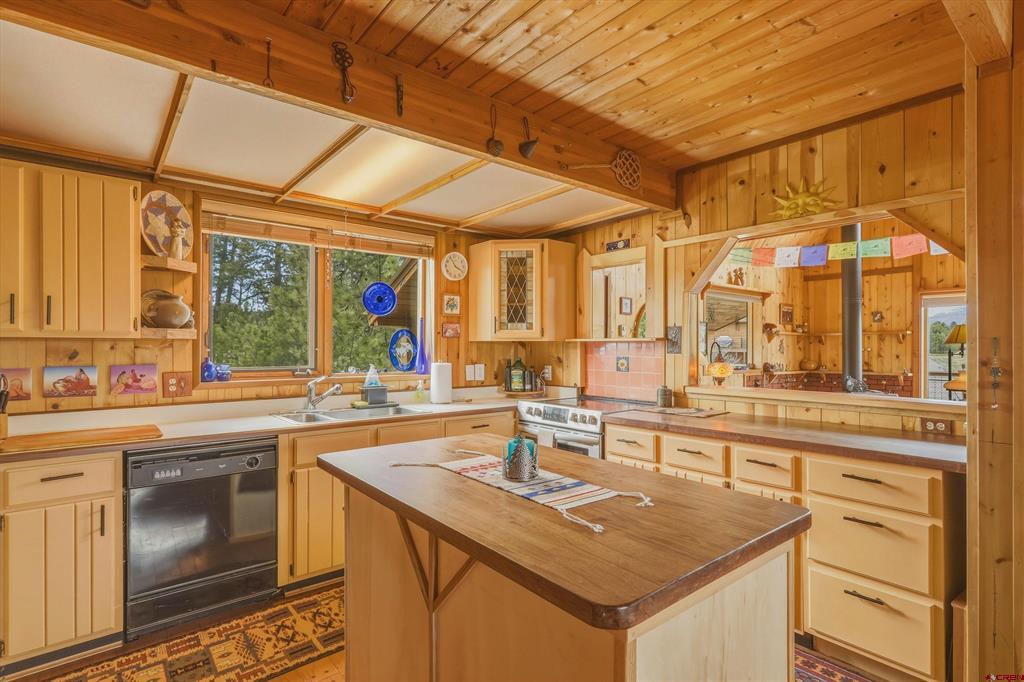 27 Croton Court Pagosa Springs CO 81147