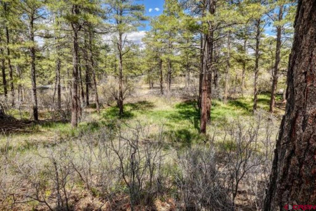 598 Blue Jay Circle Pagosa Springs CO 81147