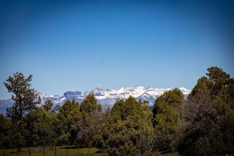 455 Heath Drive Pagosa Springs CO 81147