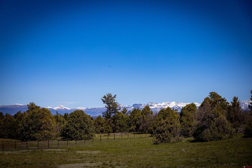 455 Heath Drive Pagosa Springs CO 81147