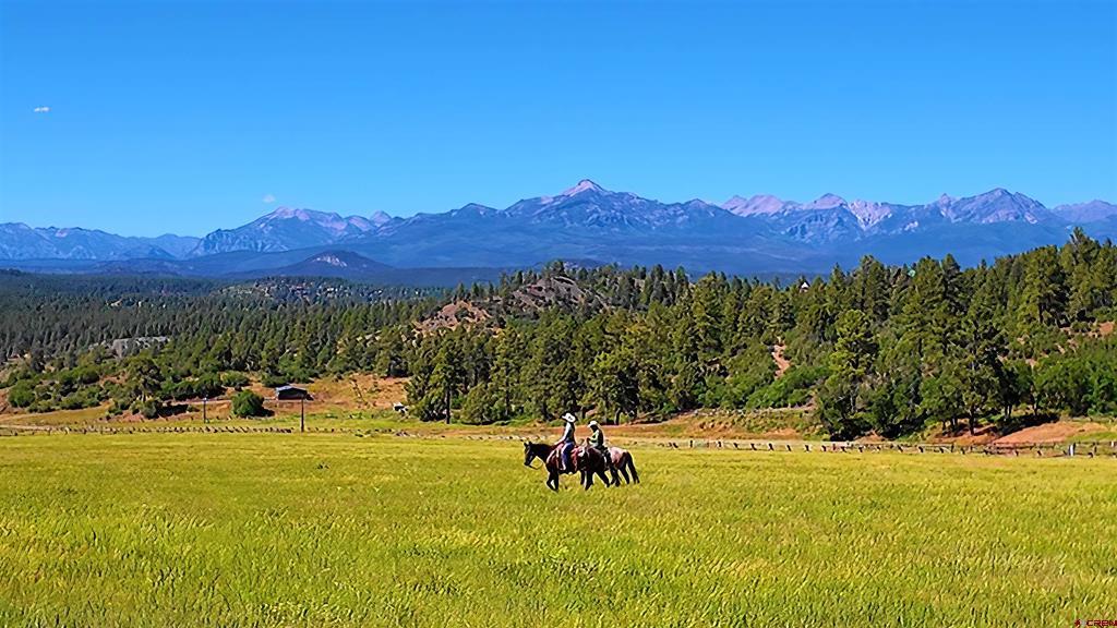 1134 Parelli Institute Drive Pagosa Springs CO 81147