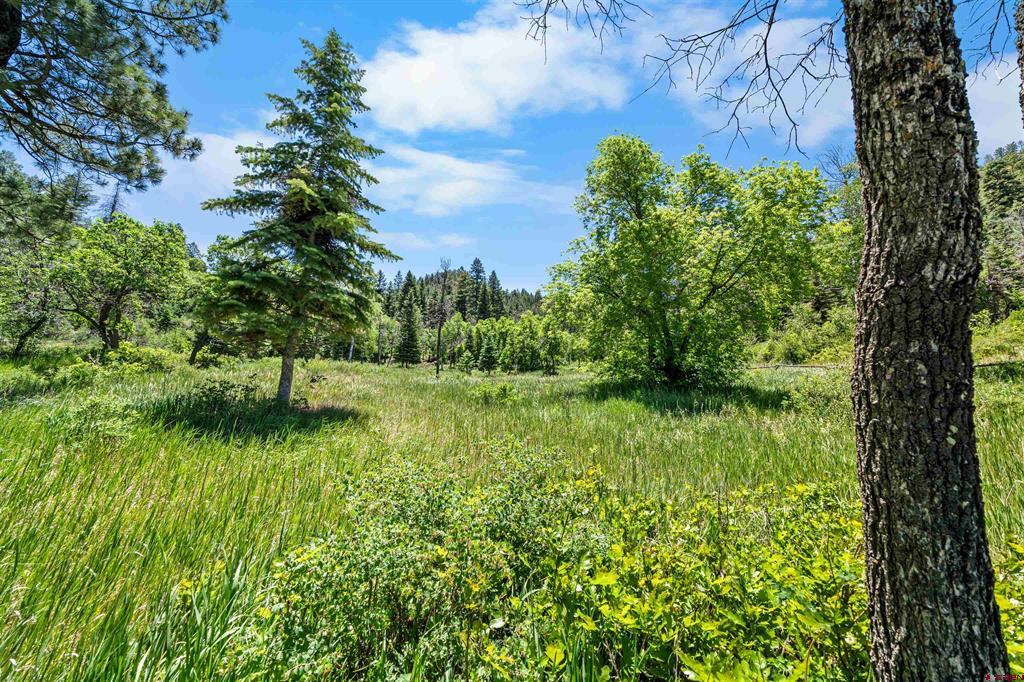 1134 Parelli Institute Drive Pagosa Springs CO 81147
