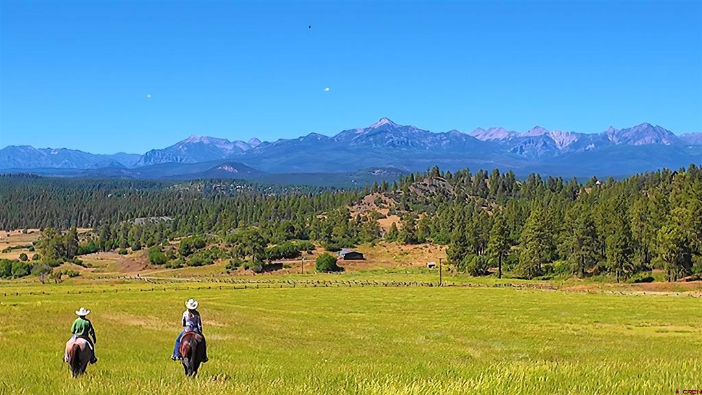 1134 Parelli Institute Drive Pagosa Springs CO 81147
