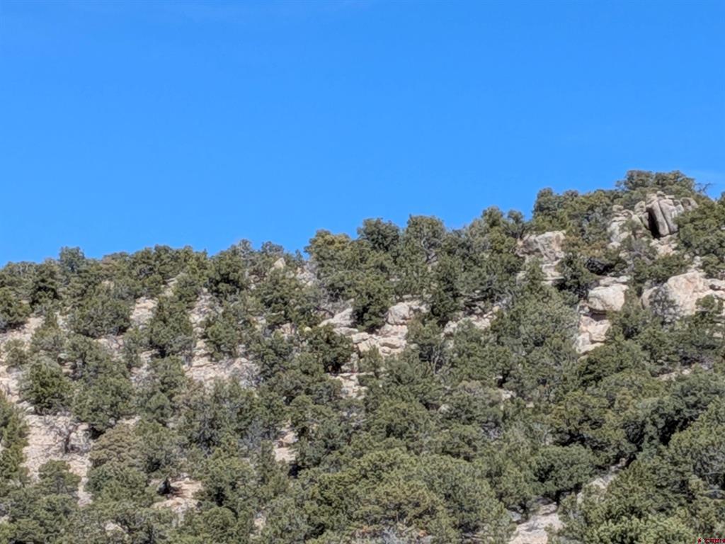 51272 Highway 285 Highway Saguache CO 81149