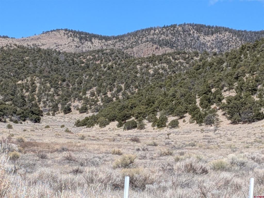51272 Highway 285 Highway Saguache CO 81149