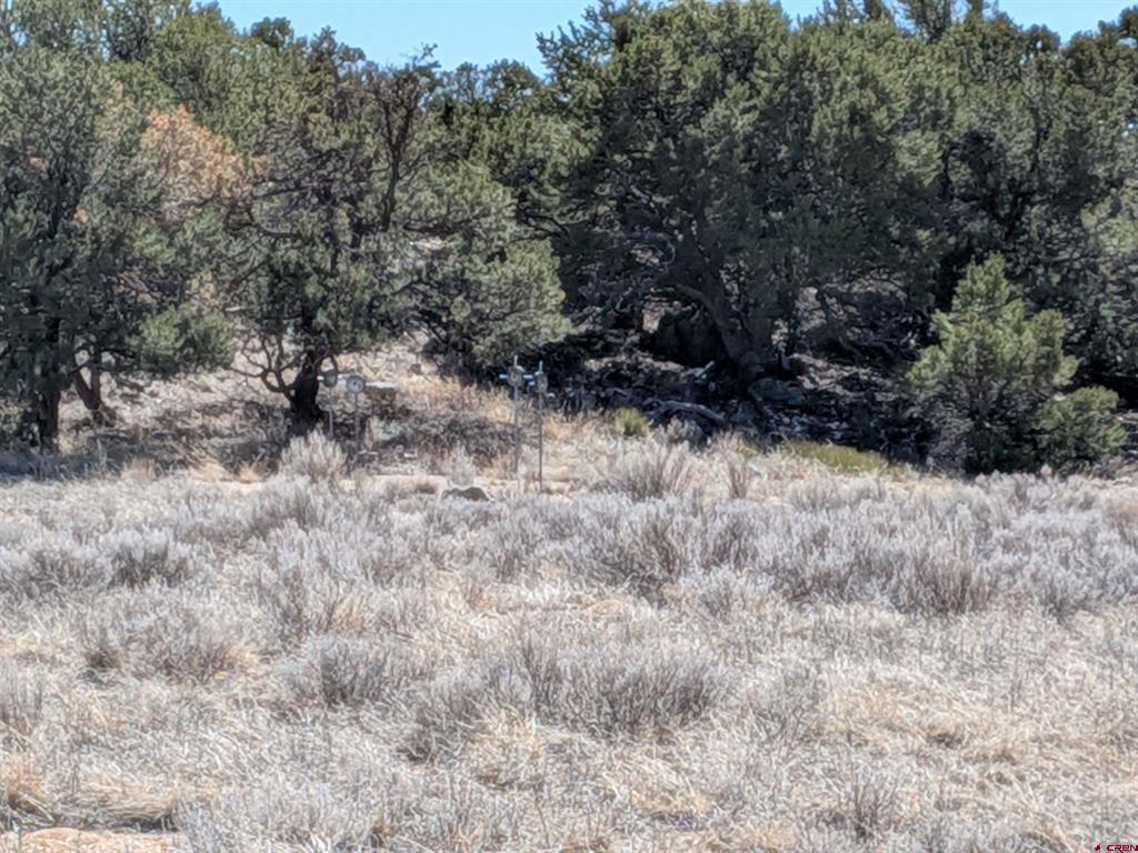 51272 Highway 285 Highway Saguache CO 81149