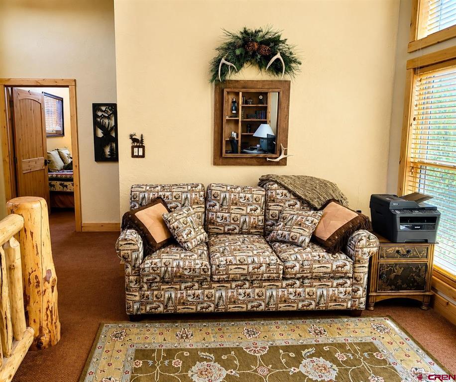 6829 Snead Lane South Fork CO 81154