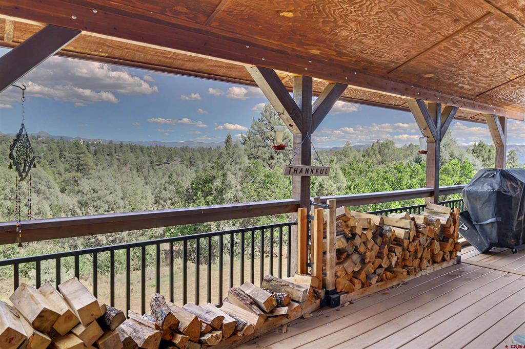 682 Harvard Avenue Pagosa Springs CO 81147