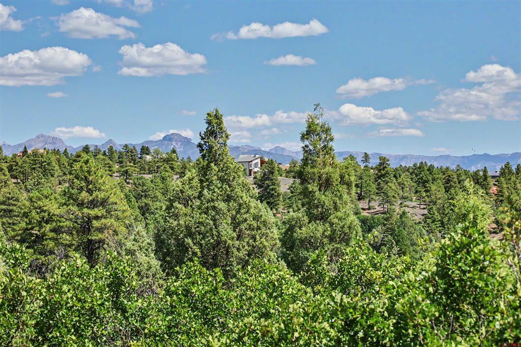 682 Harvard Avenue Pagosa Springs CO 81147