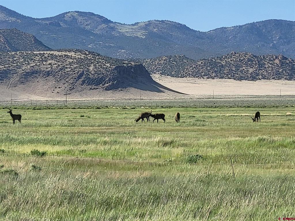 51781 County Road X Saguache CO 81149