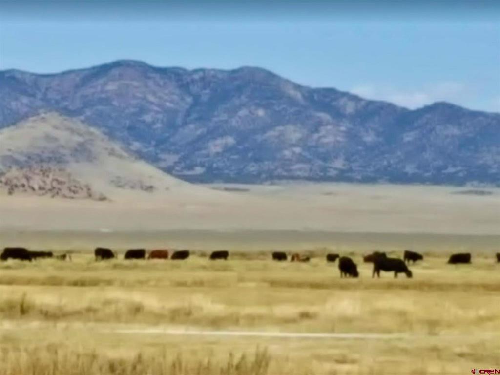 51781 County Road X Saguache CO 81149