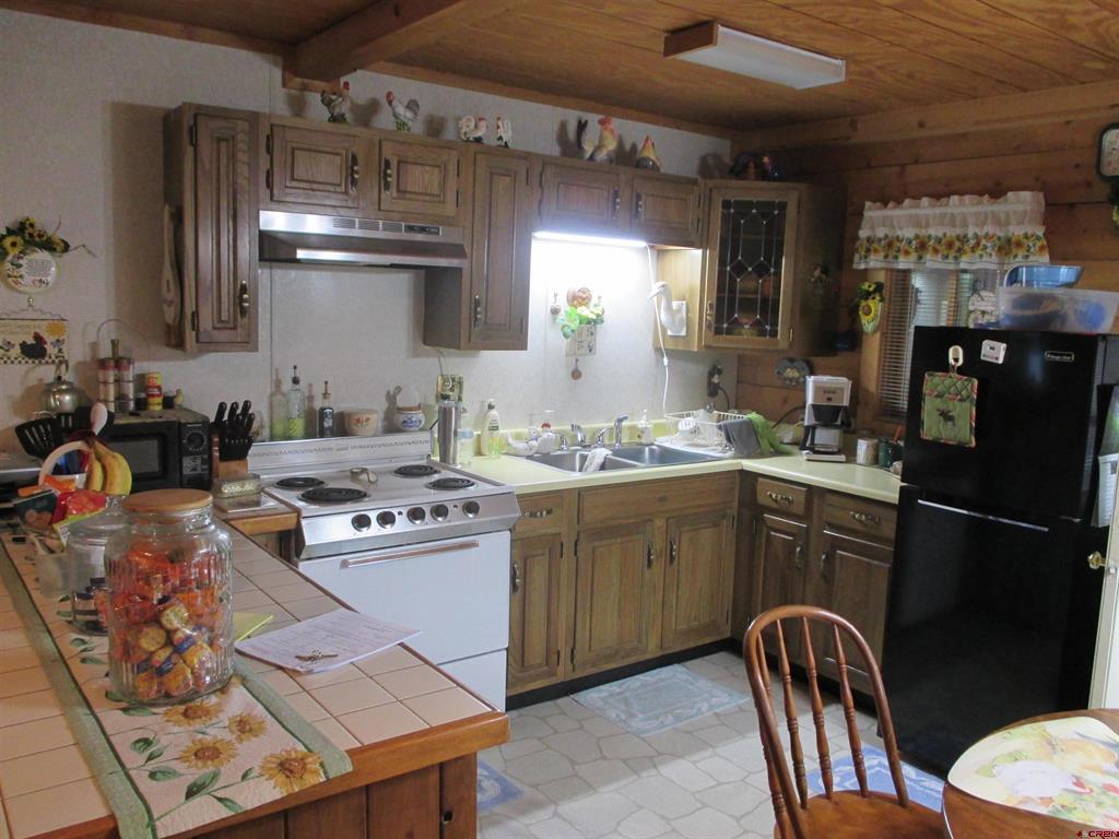 628 Water Street Lake City CO 81235