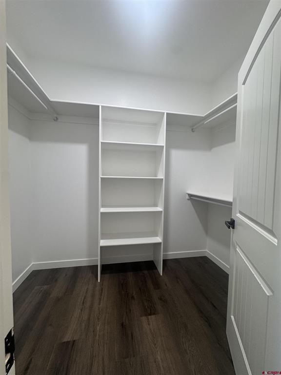 3625 Mocha Court Montrose CO 81401