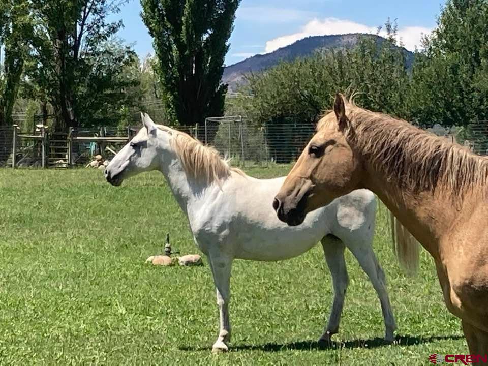 101 Lockhart Road Durango CO 81303