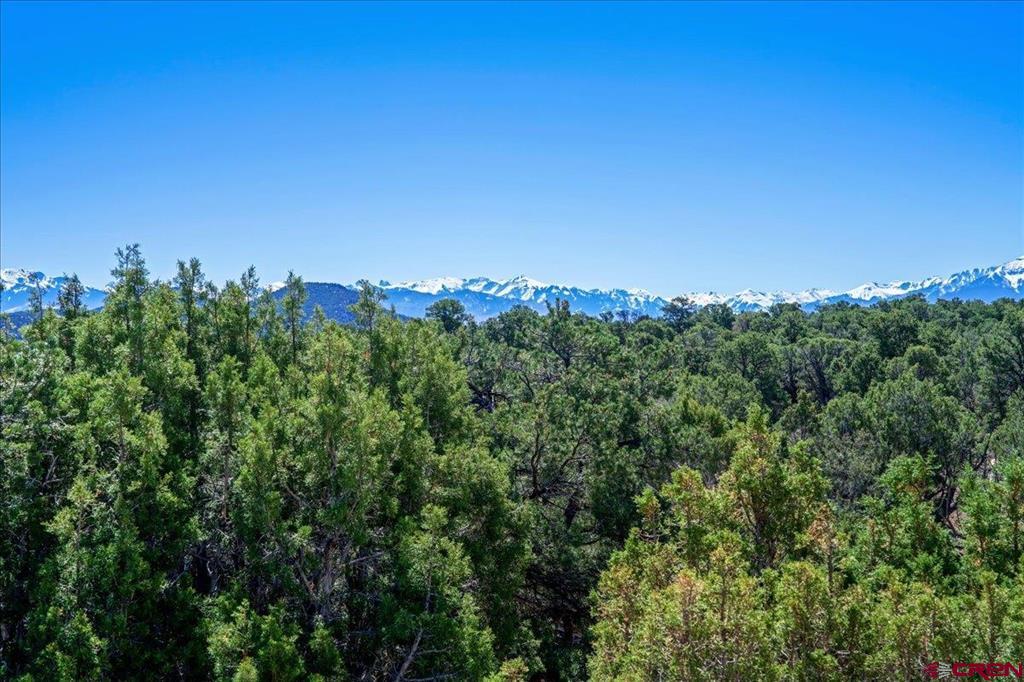 999 Coral Bell Drive Montrose CO 81403