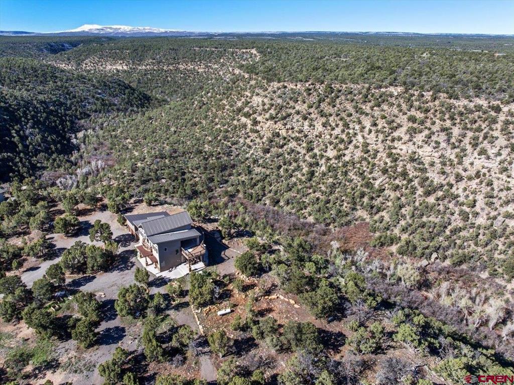 999 Coral Bell Drive Montrose CO 81403