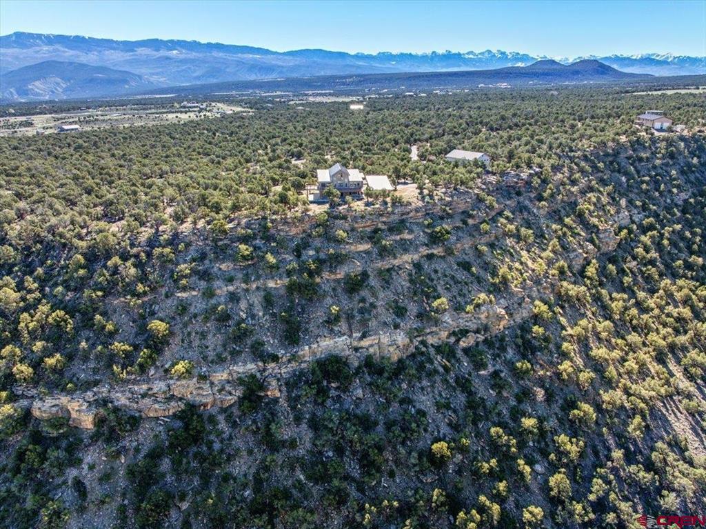 999 Coral Bell Drive Montrose CO 81403