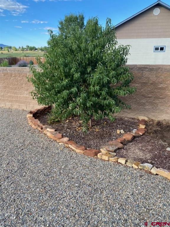 1941 Kaleigh Circle Cortez CO 81321