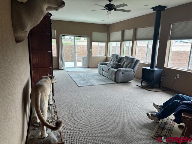 1941 Kaleigh Circle Cortez CO 81321