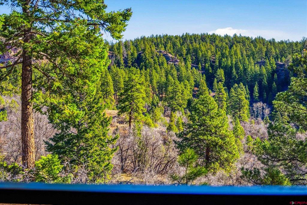 961 N Tamarron Drive Durango CO 81301