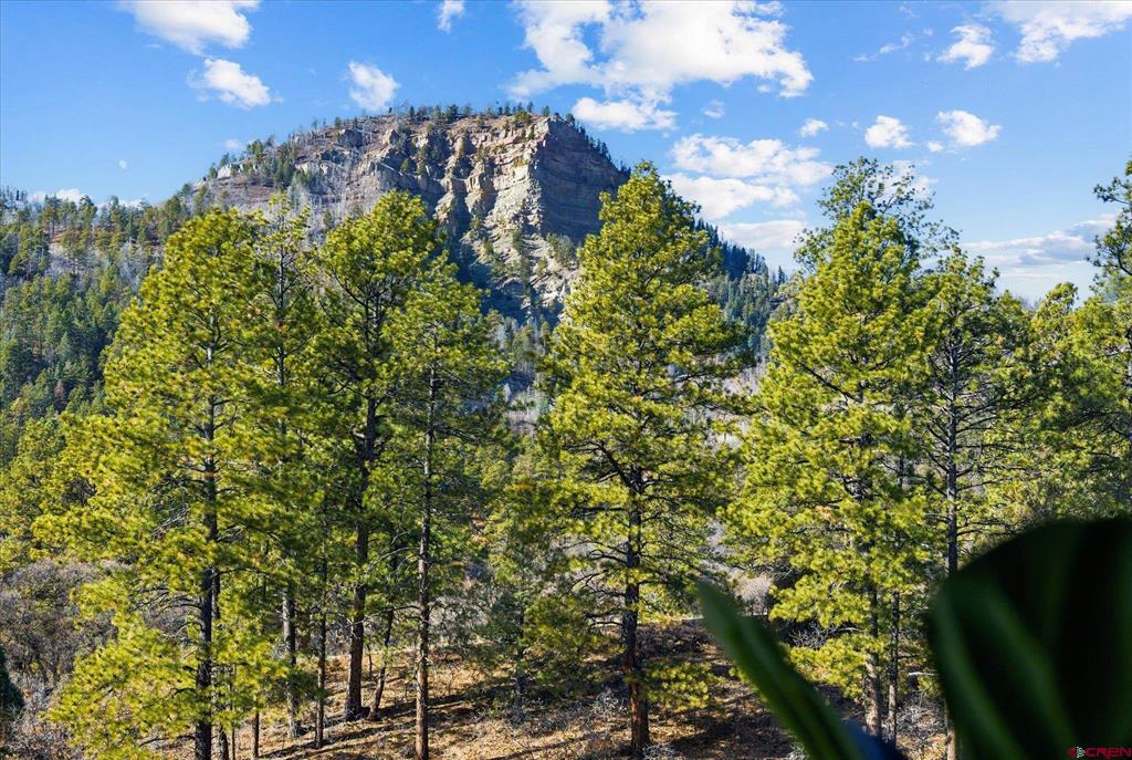 961 N Tamarron Drive Durango CO 81301