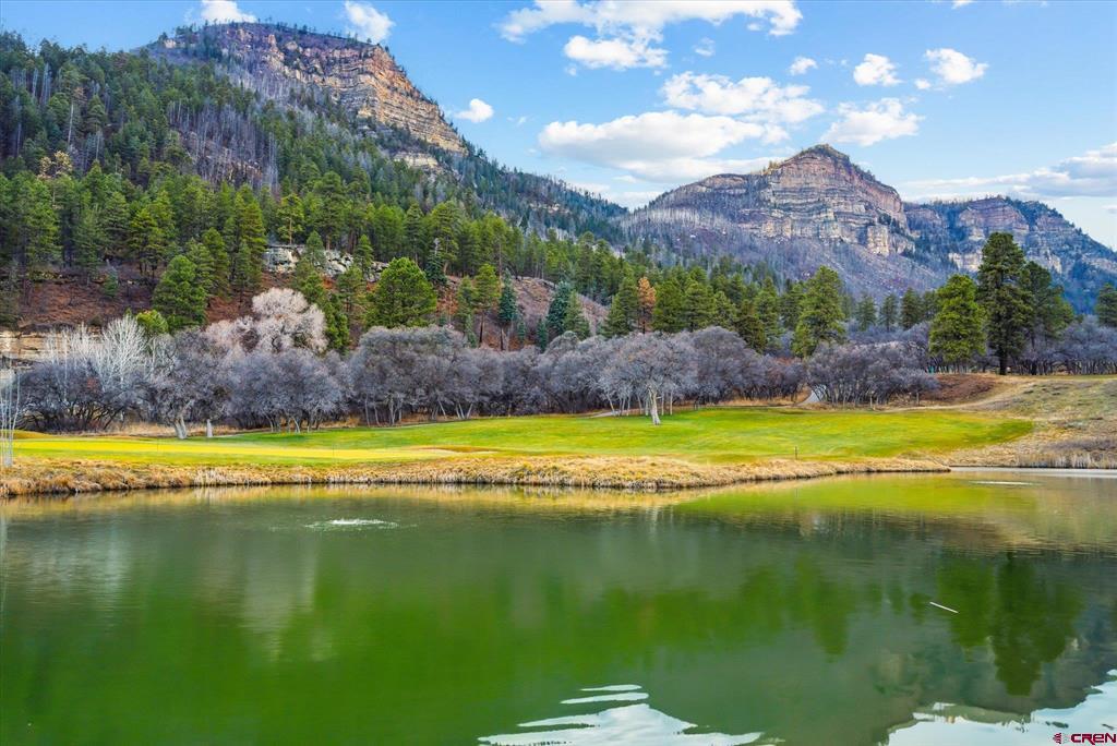 961 N Tamarron Drive Durango CO 81301
