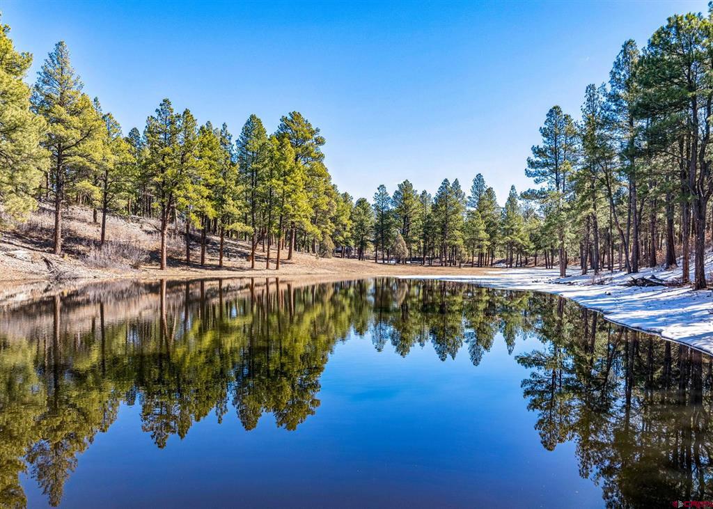 2415 Echo Canyon Ranch Lane Pagosa Springs CO 81147