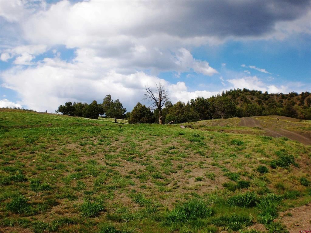 6402 Cr 700 Pagosa Springs CO 81147