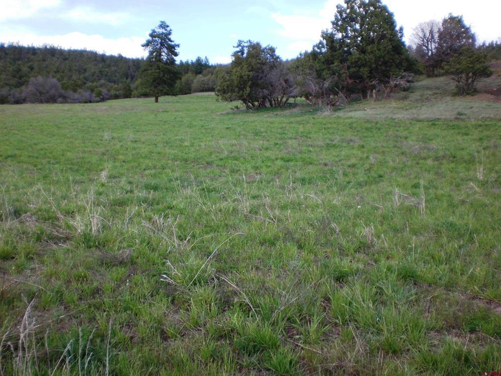 6402 Cr 700 Pagosa Springs CO 81147