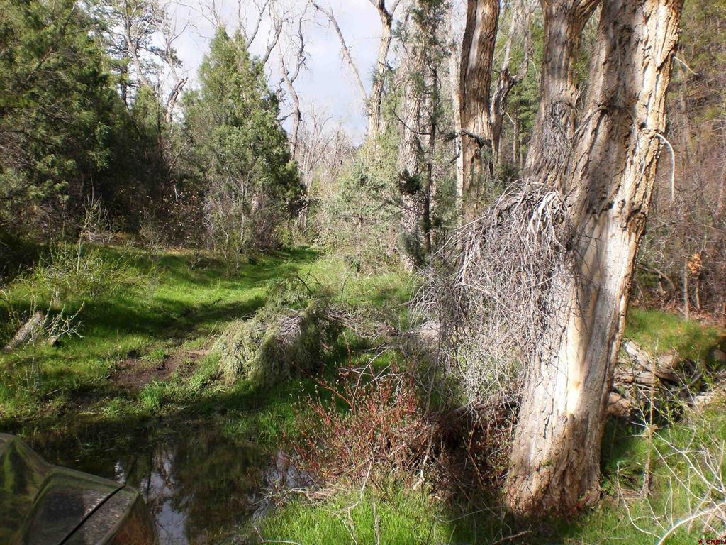 6402 Cr 700 Pagosa Springs CO 81147