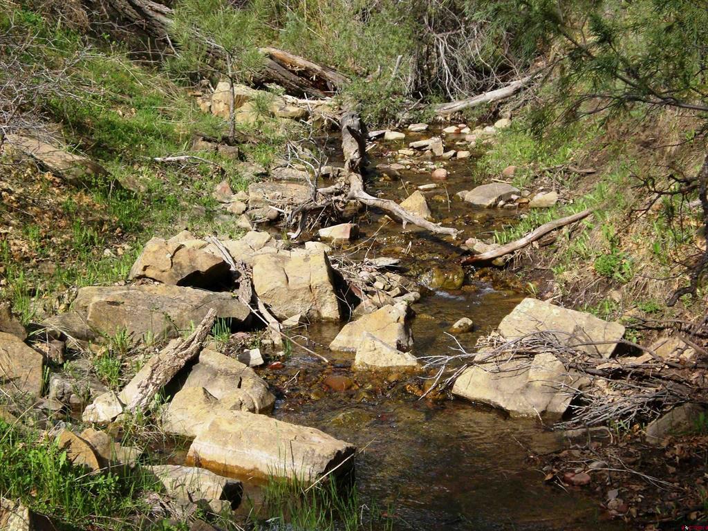 6402 Cr 700 Pagosa Springs CO 81147