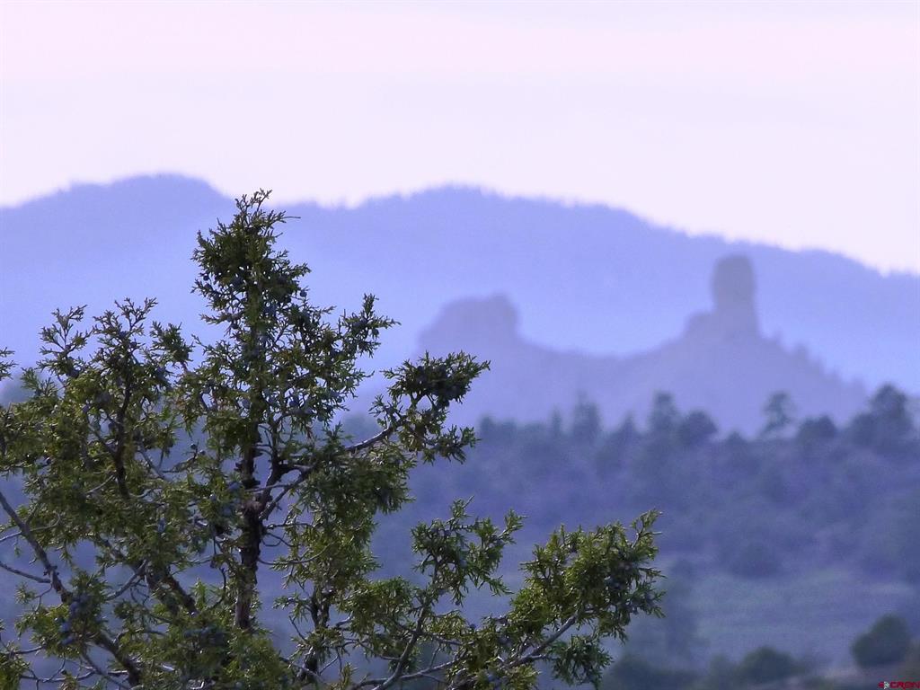 6402 Cr 700 Pagosa Springs CO 81147