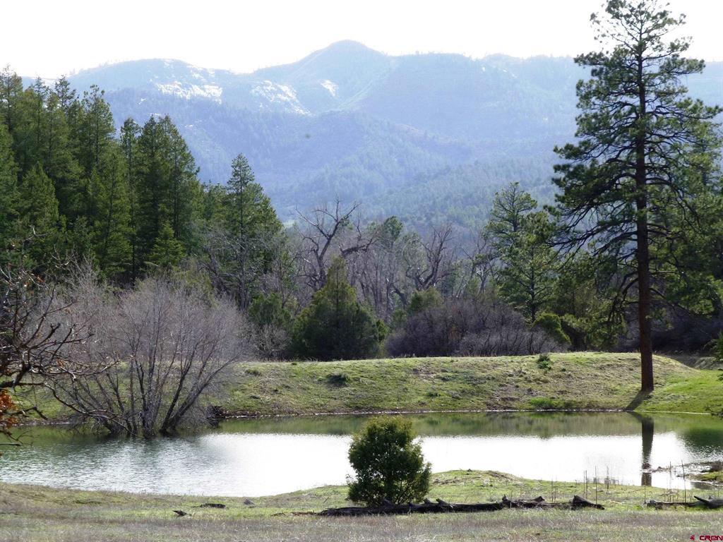 6402 Cr 700 Pagosa Springs CO 81147