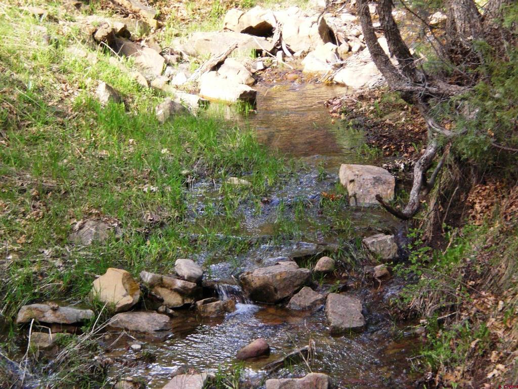 6402 Cr 700 Pagosa Springs CO 81147