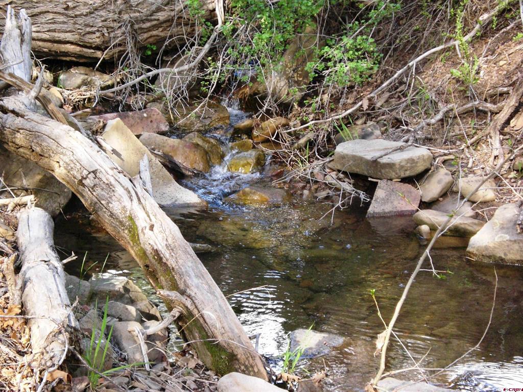 6402 Cr 700 Pagosa Springs CO 81147