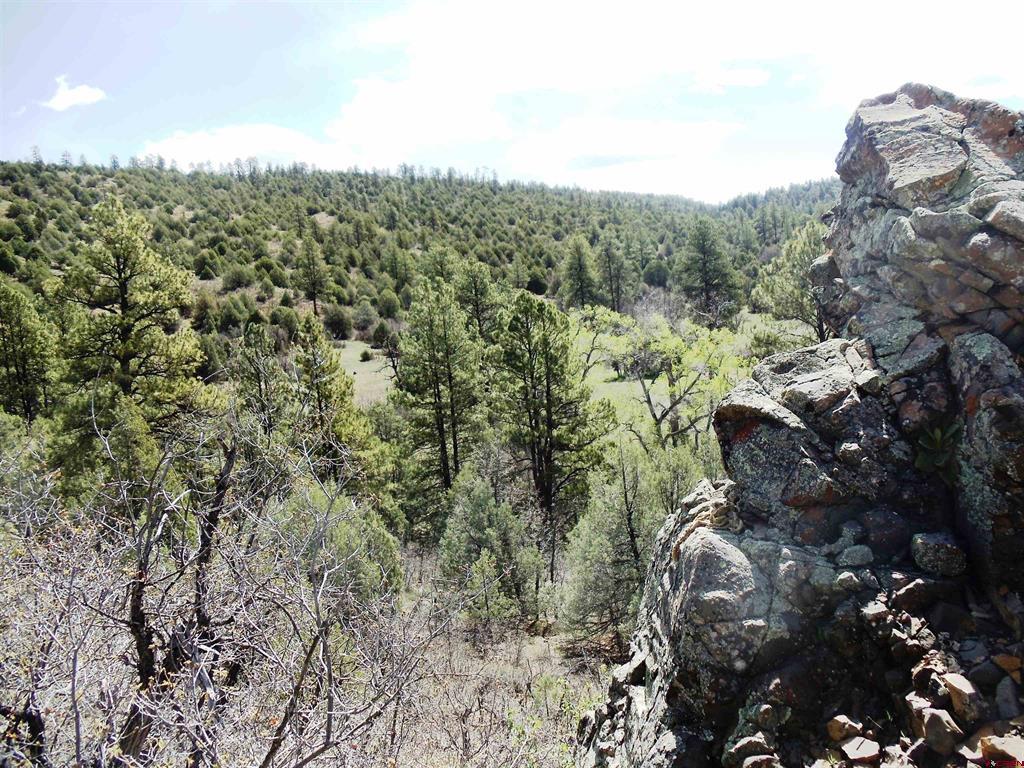 6402 Cr 700 Pagosa Springs CO 81147