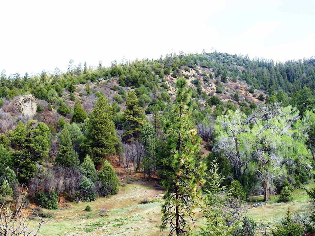 6402 Cr 700 Pagosa Springs CO 81147