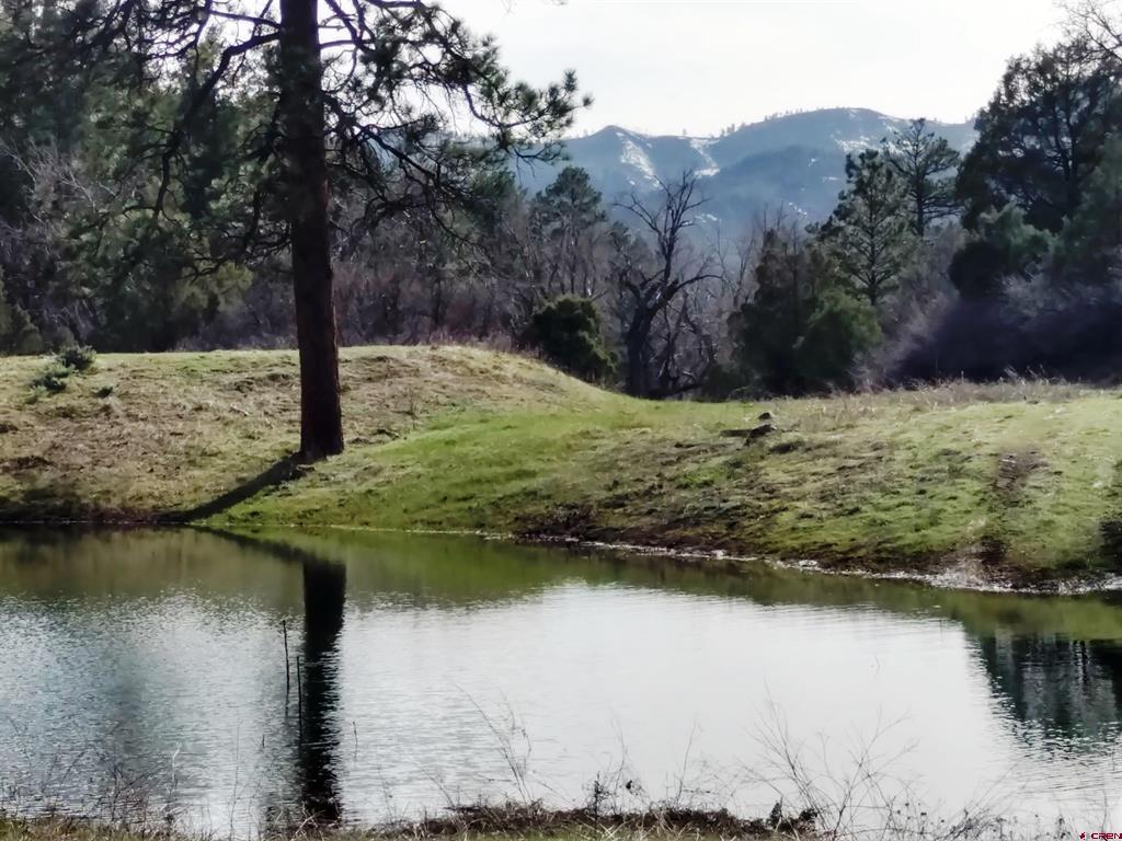 6402 Cr 700 Pagosa Springs CO 81147