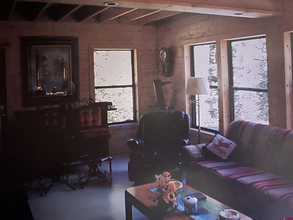 18505 County Road 30 Road Lake City CO 81235