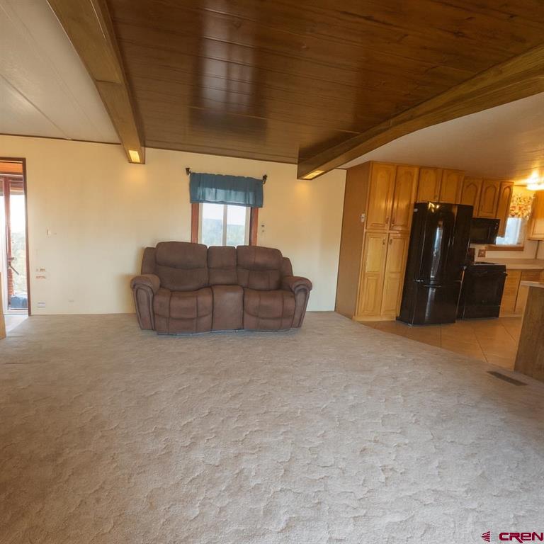 94 Eagles Place Arboles CO 81121