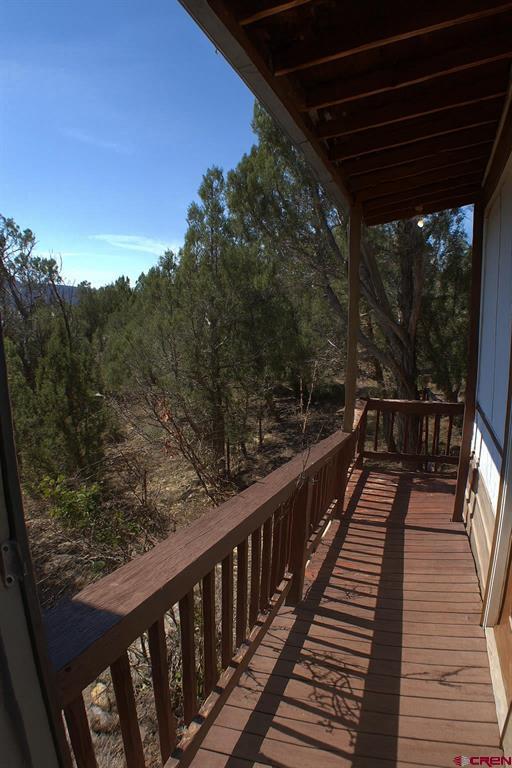 94 Eagles Place Arboles CO 81121