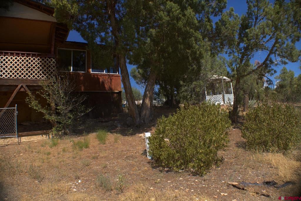 94 Eagles Place Arboles CO 81121