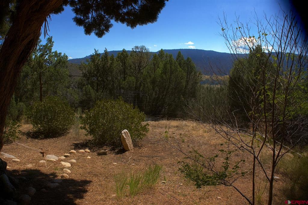 94 Eagles Place Arboles CO 81121