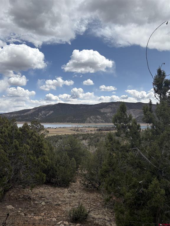 94 Eagles Place Arboles CO 81121