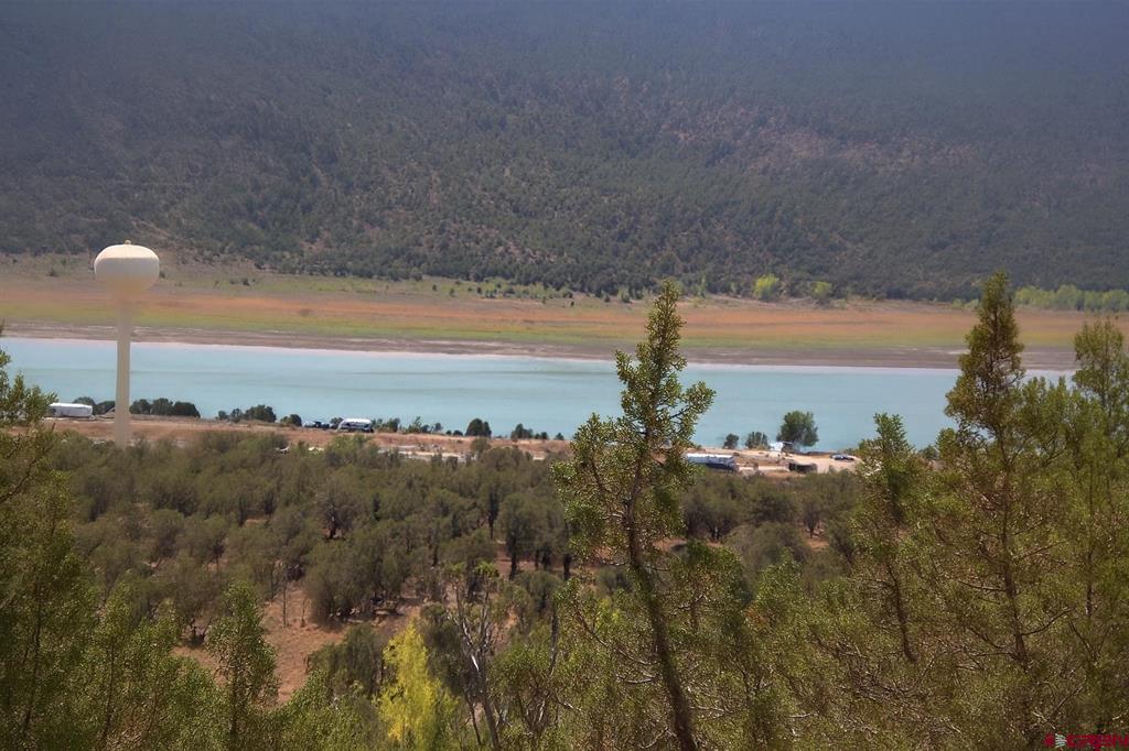 94 Eagles Place Arboles CO 81121