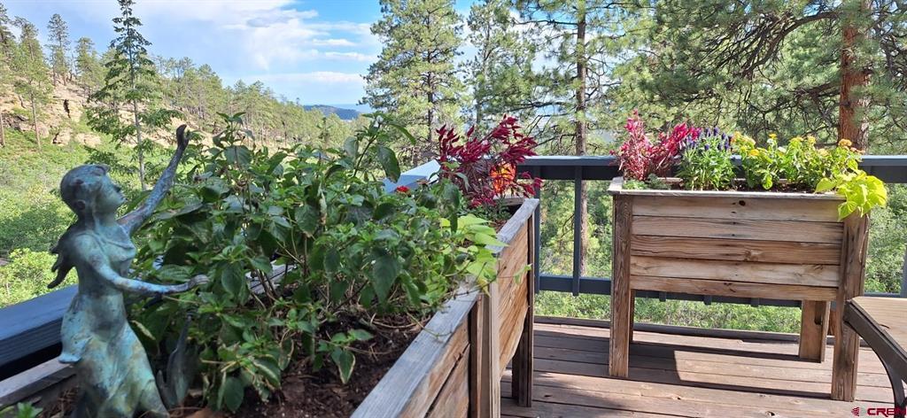 1120 Silver Mesa Driveway Durango CO 81301