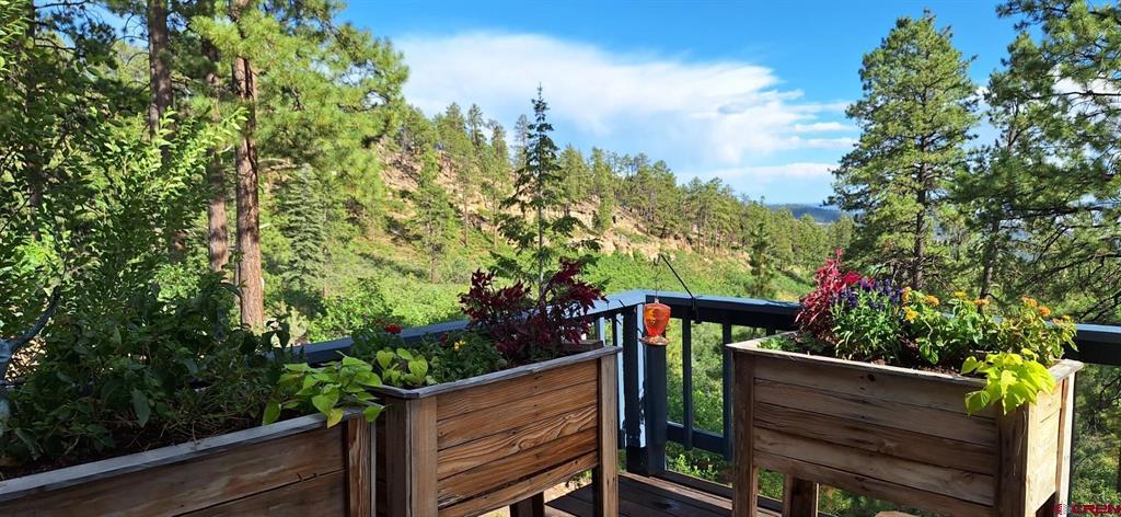 1120 Silver Mesa Driveway Durango CO 81301