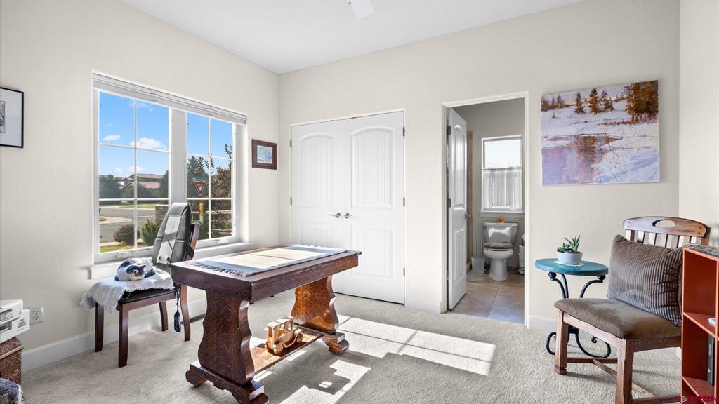 3840 Mcmasters Place Montrose CO 81403